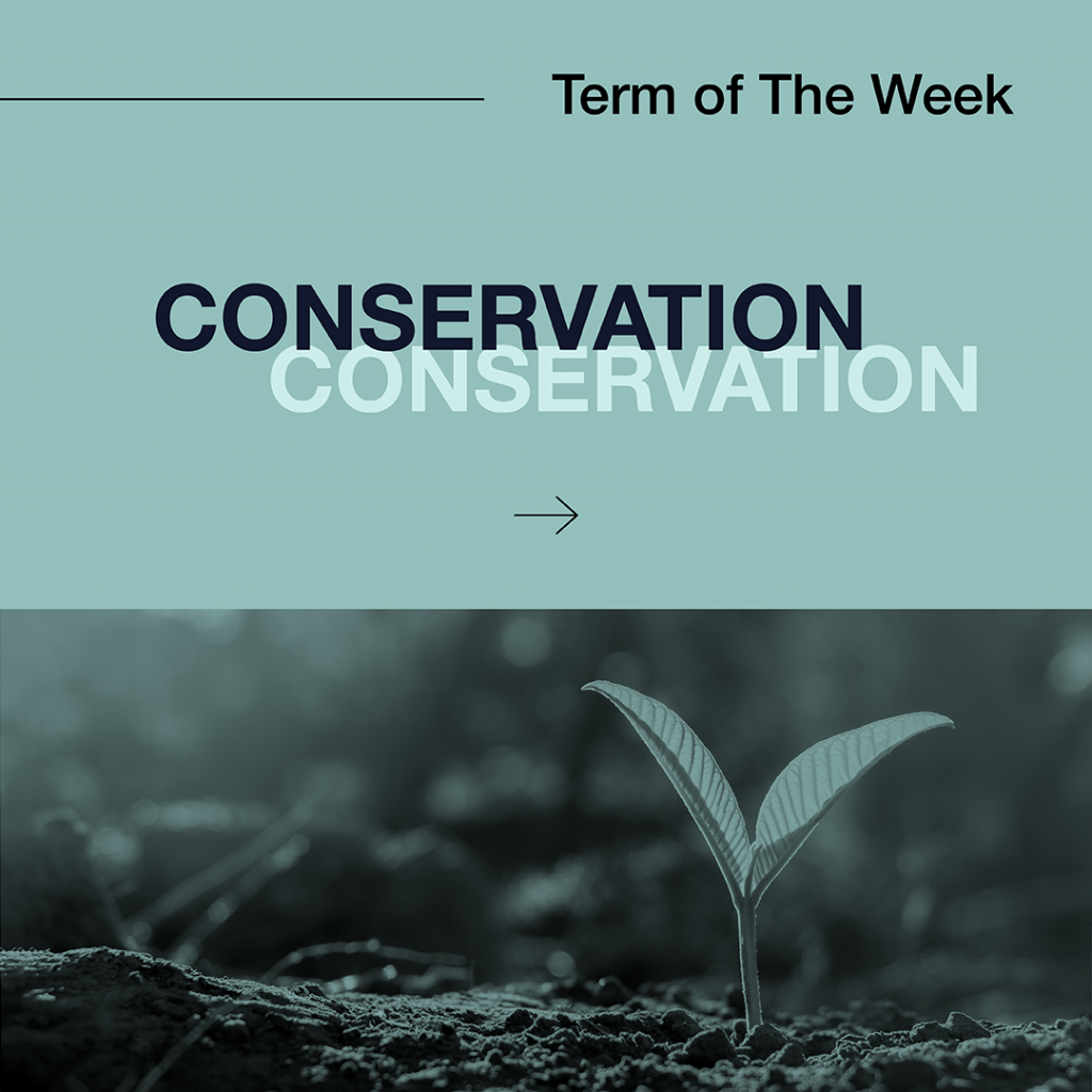 Week two: Conservation - Defining conservation