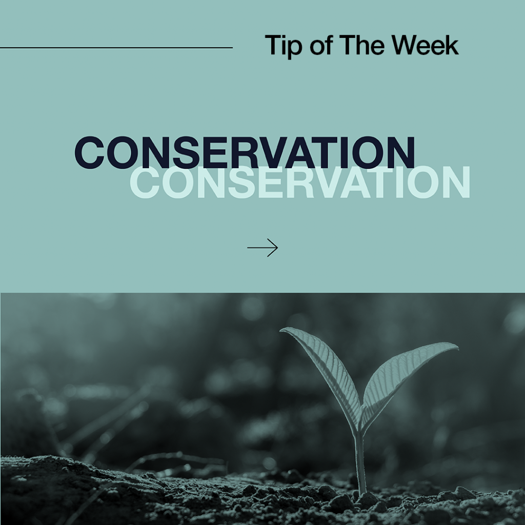 Week two: Conservation Tips